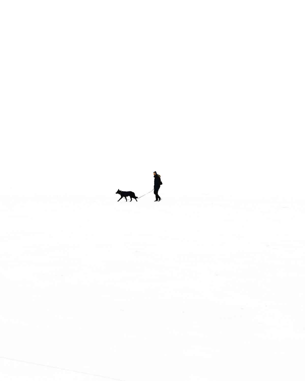 juuso-salminen-543409-unsplash